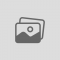Personal Statement 